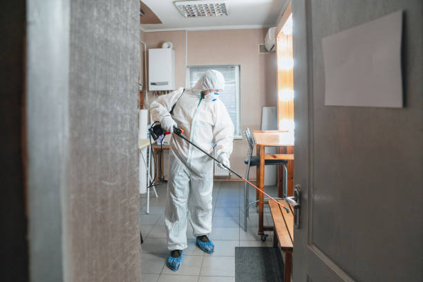 Best Mold-Related Health Consultation  in Bally, PA